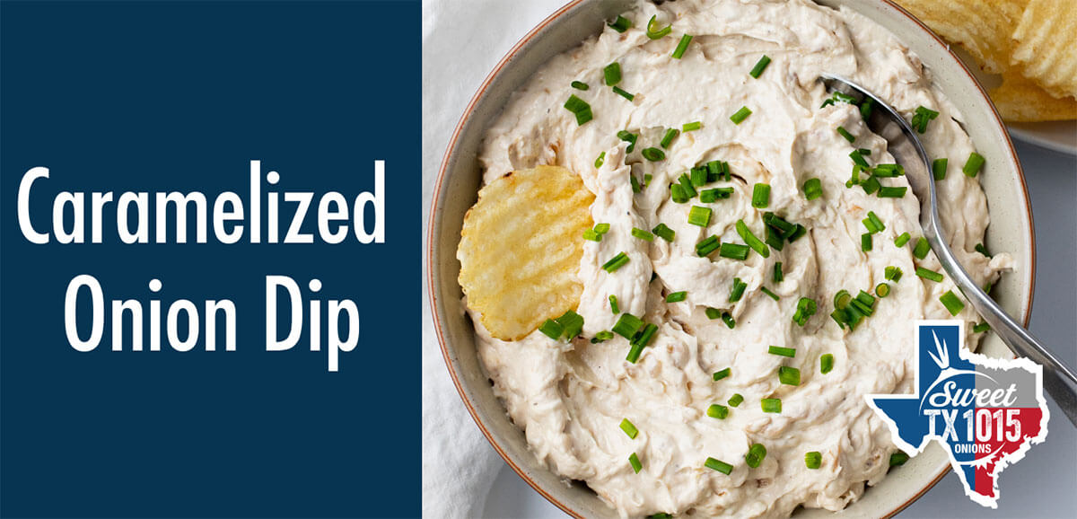 Caramelized Onion Dip