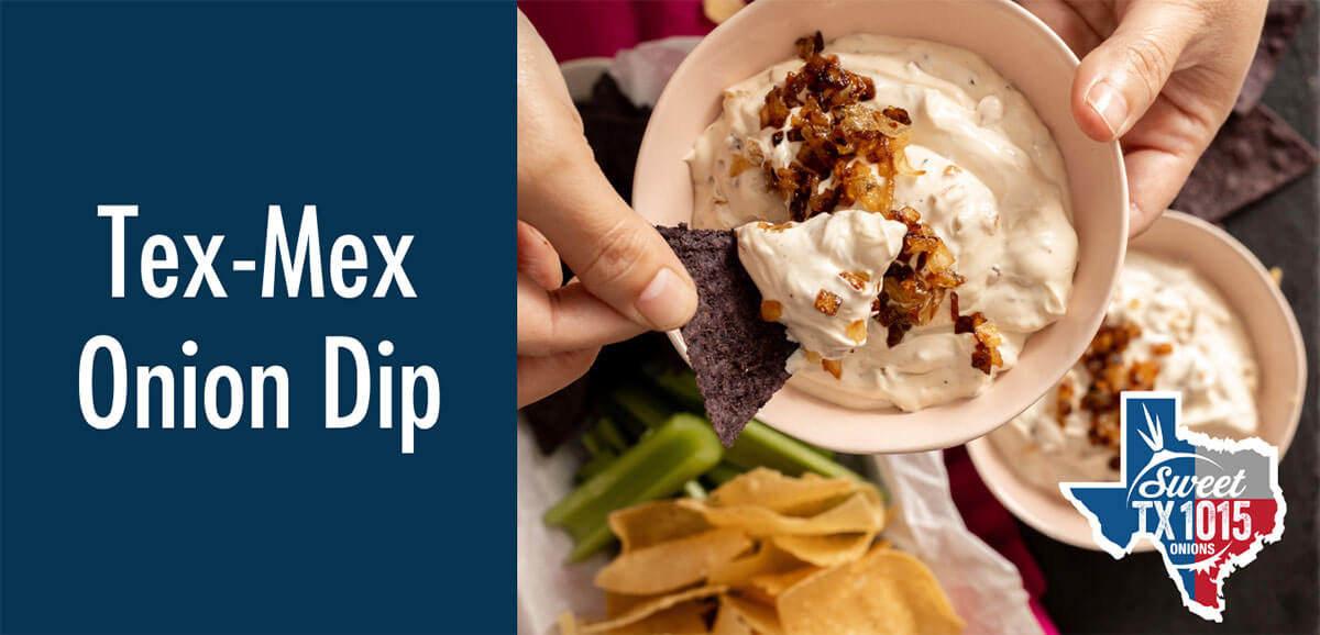 Tex-Mex Onion Dip