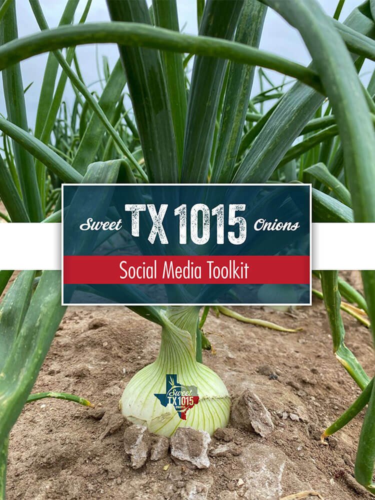 Social Media Toolkit